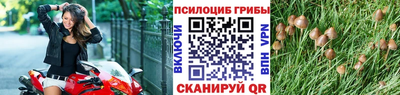 блэк спрут ссылка Верхоянск Псилоцибиновые грибы MAGIC MUSHROOMS хочу